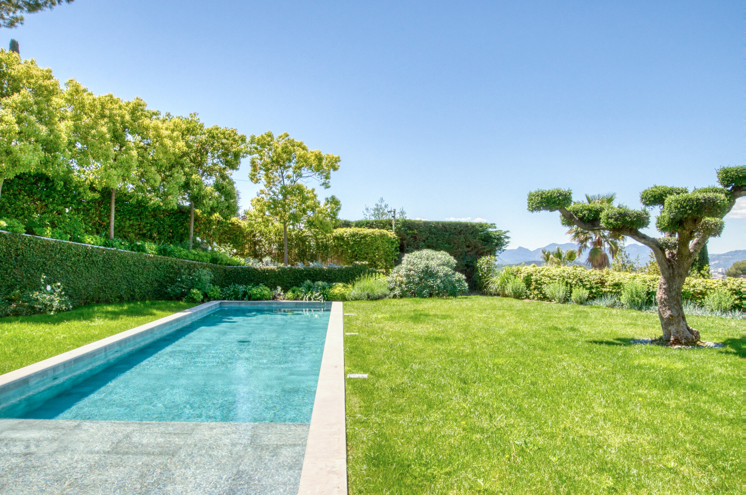 Piscine couloir et topiaire signature dans le jardin paysager, Villa Bali